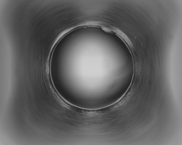 X0000116551436200912171340