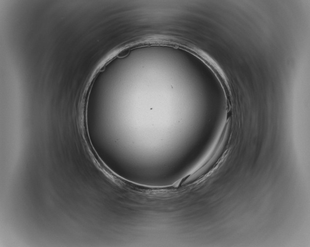 X0000116551437200912171340