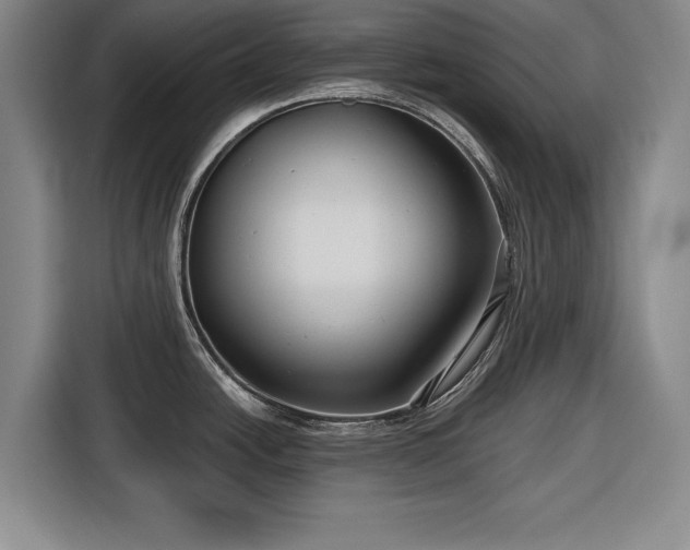 X0000116551438200912171340