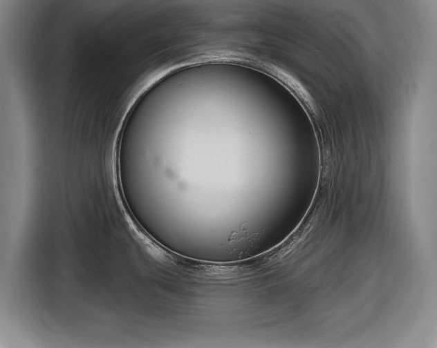 X0000116551439200912171340