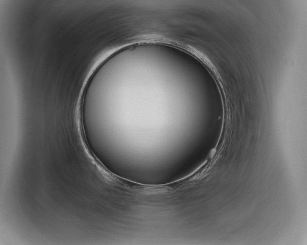 X0000116551440200912171340