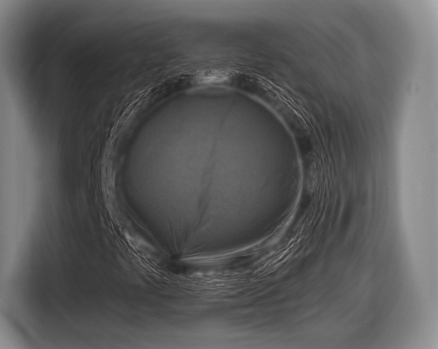 X0000116551441200912171339