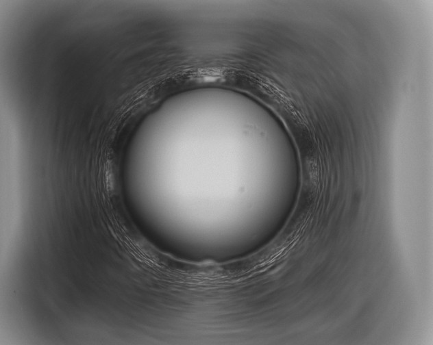 X0000116551442200912171339