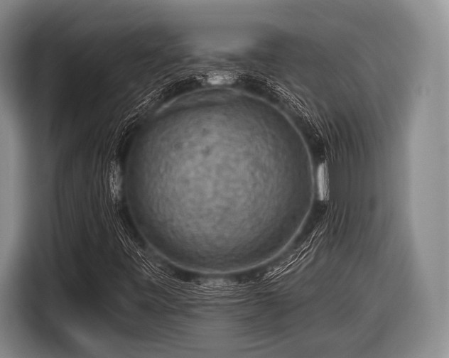 X0000116551443200912171339