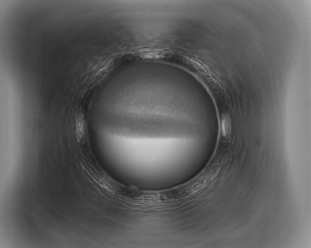 X0000116551444200912171339