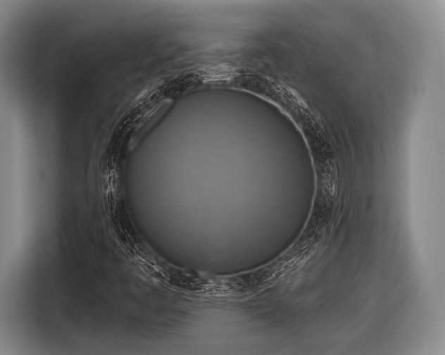 X0000116551445200912171339