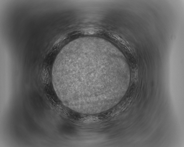 X0000116551446200912171339