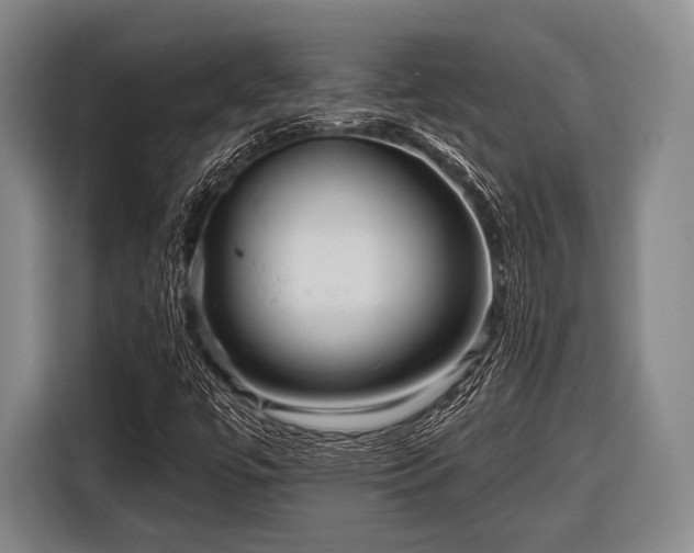 X0000116551447200912171339