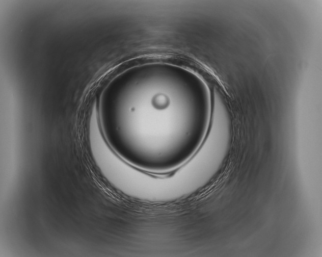 X0000116551448200912171339