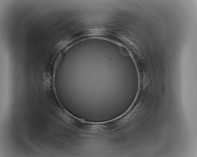 X0000116551449200912171339