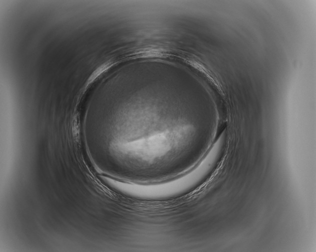 X0000116551450200912171339