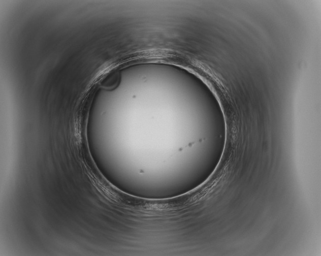 X0000116551451200912171339