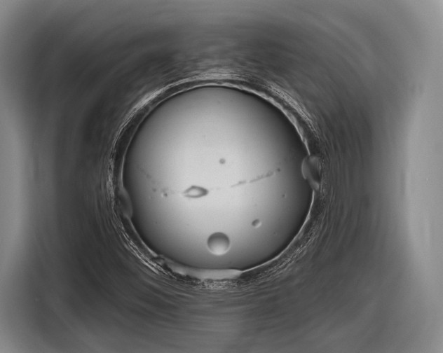 X0000116551452200912171339