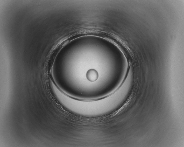 X0000116551453200912171339