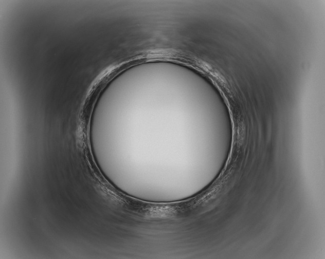 X0000116551454200912171339