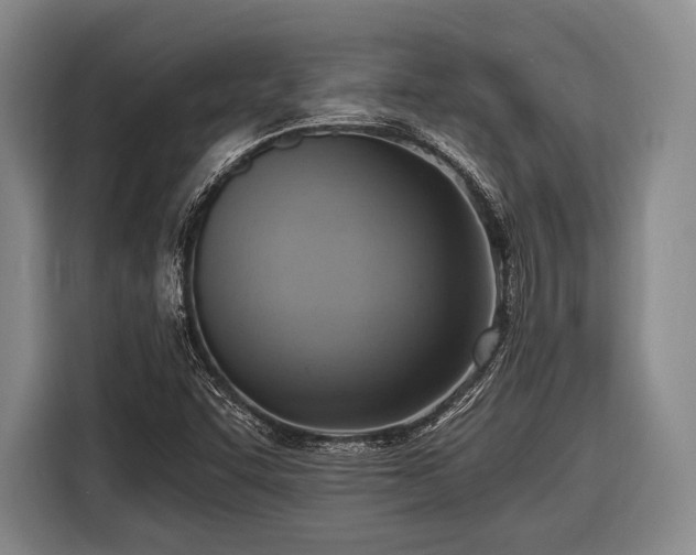 X0000116551455200912171339