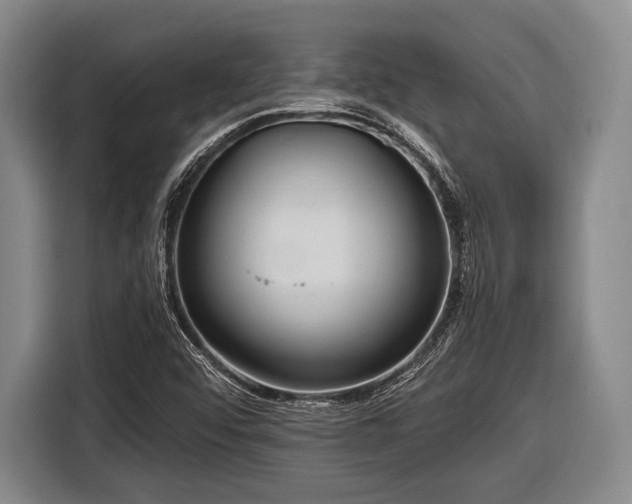 X0000116551456200912171339