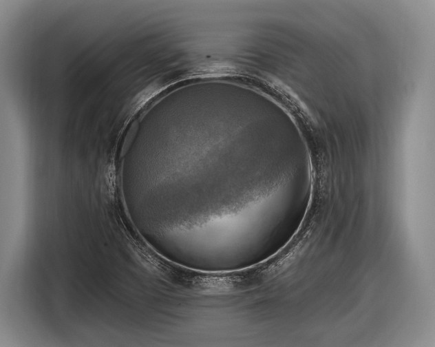 X0000116551457200912171339