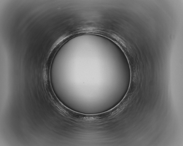 X0000116551458200912171339