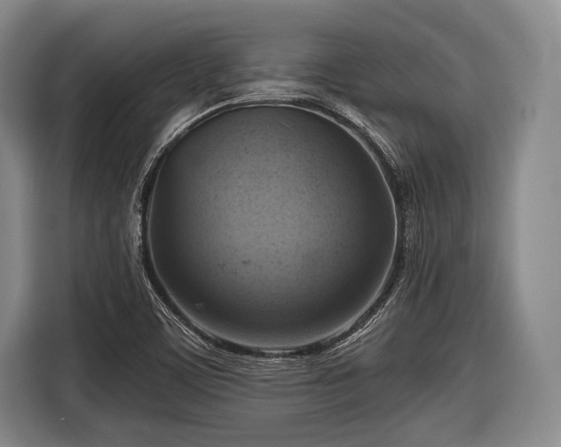 X0000116551459200912171339