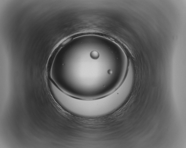 X0000116551460200912171339