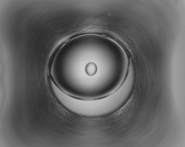 X0000116551461200912171339