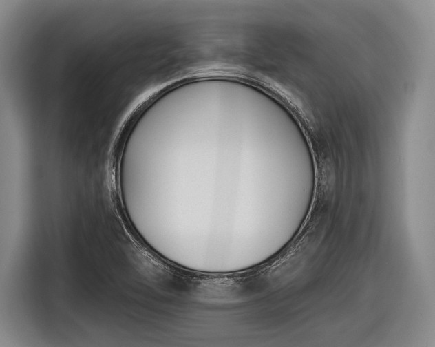 X0000116551462200912171339