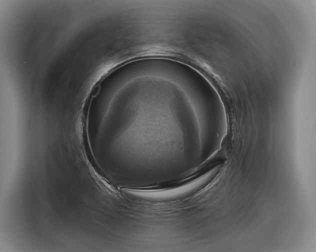 X0000116551463200912171339