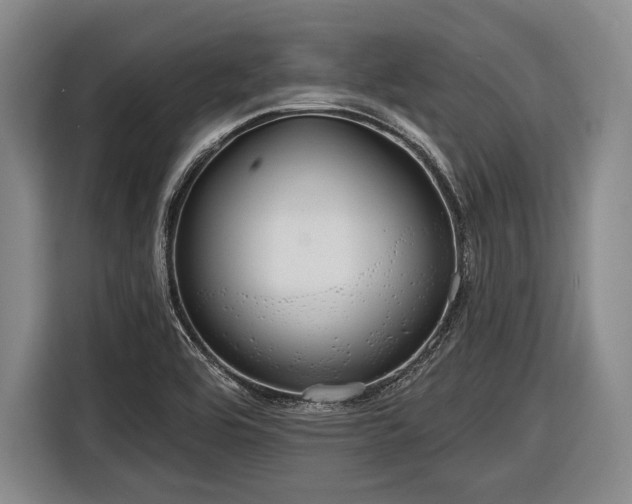 X0000116551464200912171339