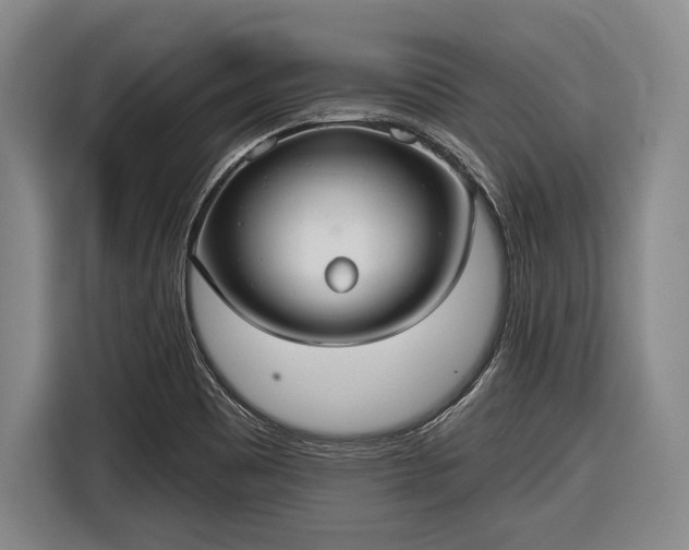 X0000116551465200912171339