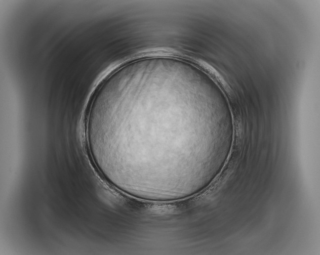 X0000116551466200912171339