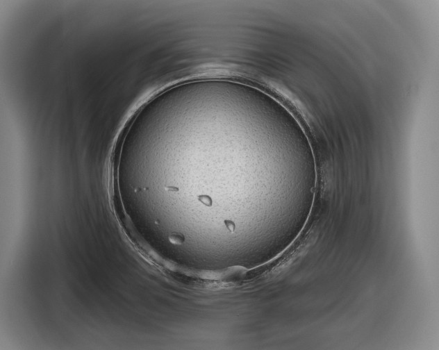 X0000116551467200912171339