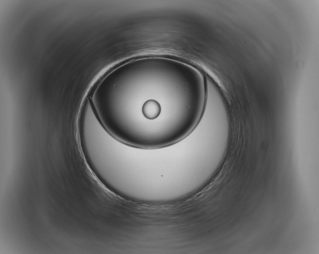 X0000116551468200912171339