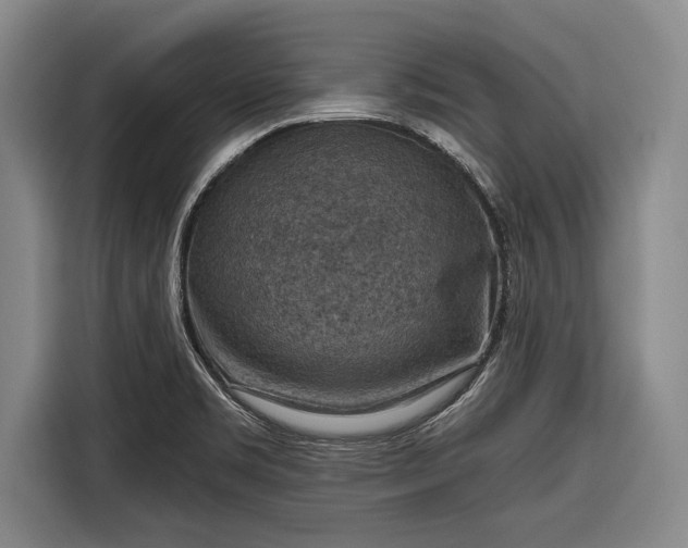 X0000116551469200912171339