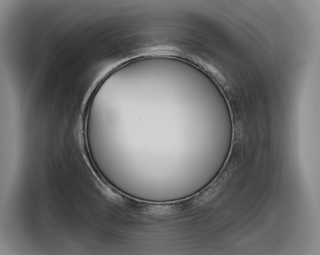 X0000116551470200912171339