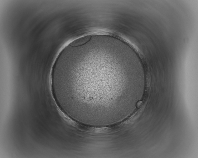 X0000116551471200912171339