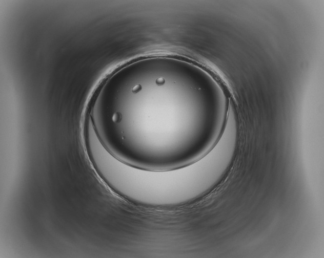 X0000116551472200912171339