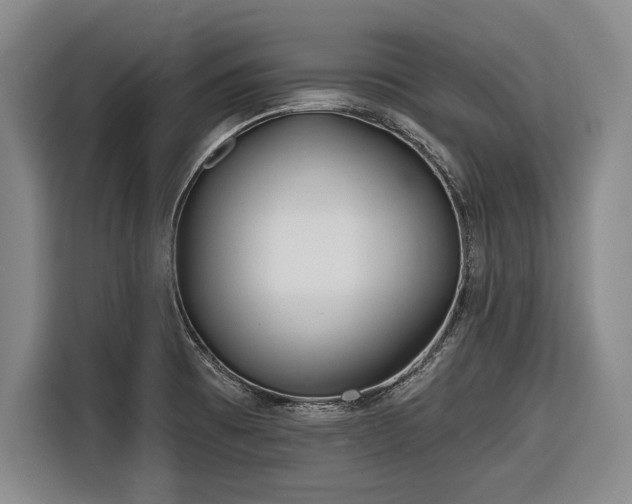 X0000116551473200912171339