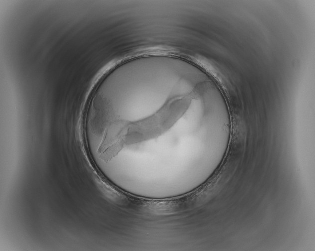 X0000116551474200912171339