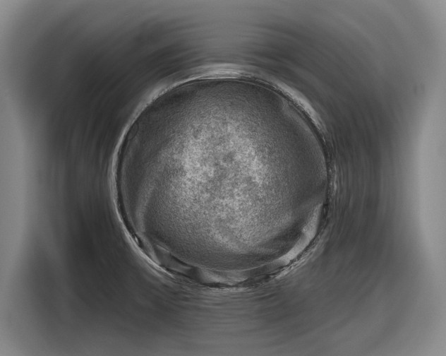 X0000116551475200912171339