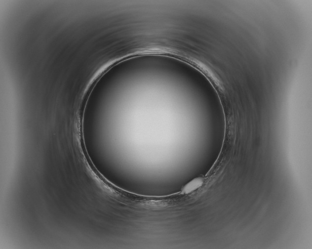 X0000116551476200912171339