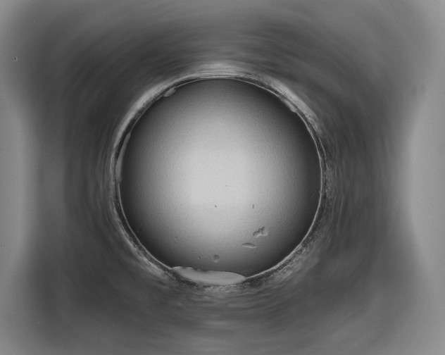 X0000116551477200912171339