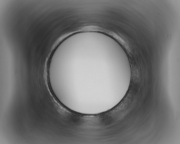 X0000116551478200912171339