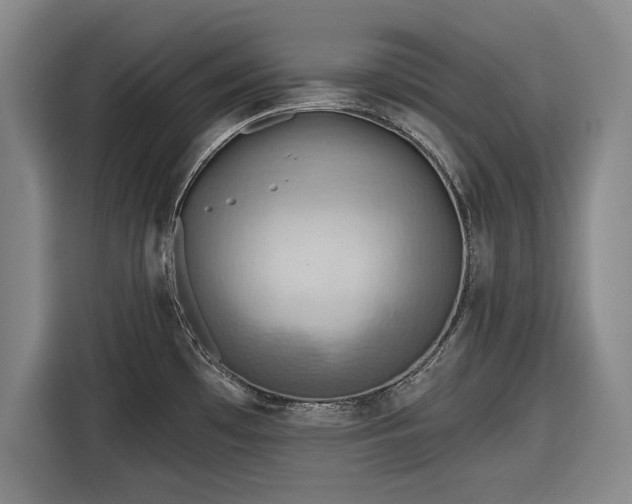 X0000116551481200912171339