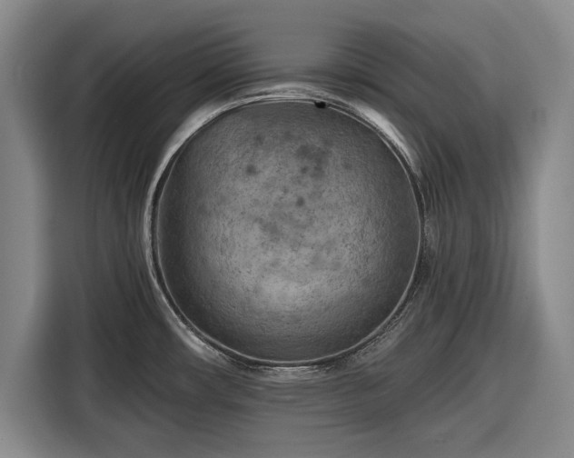 X0000116551482200912171339