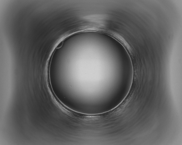 X0000116551483200912171339