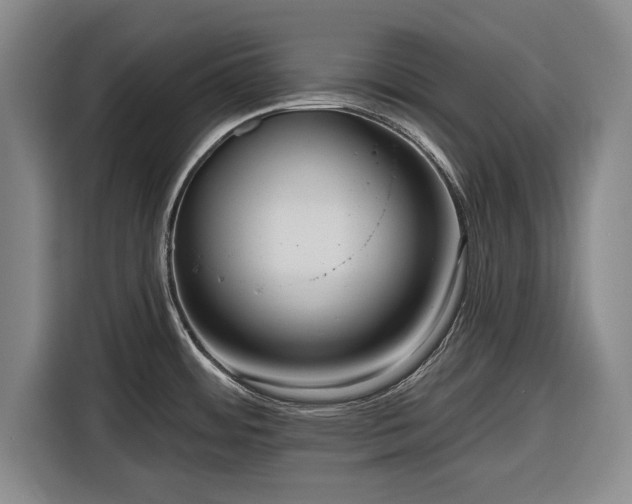 X0000116551484200912171339