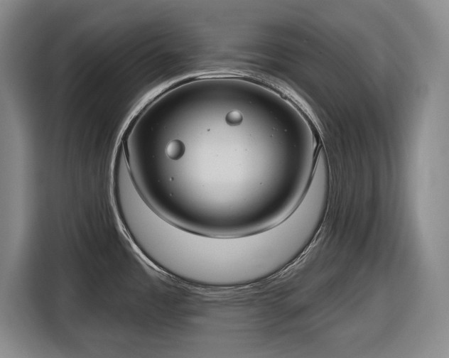 X0000116551485200912171339