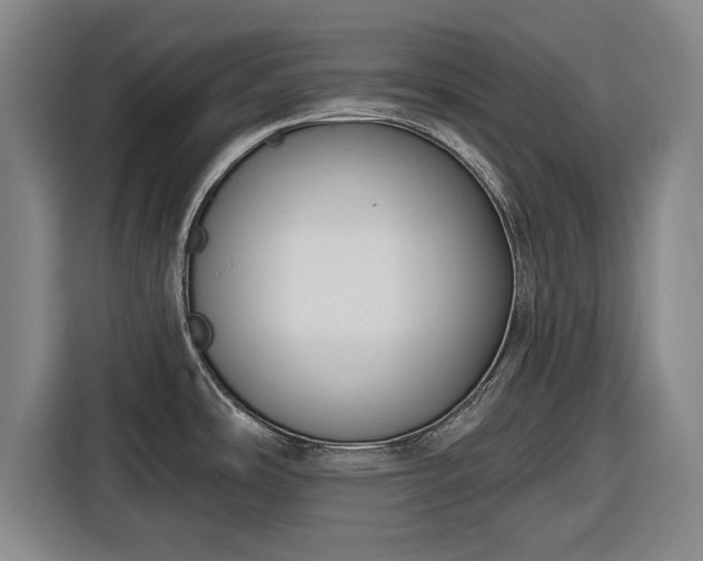 X0000116551486200912171339