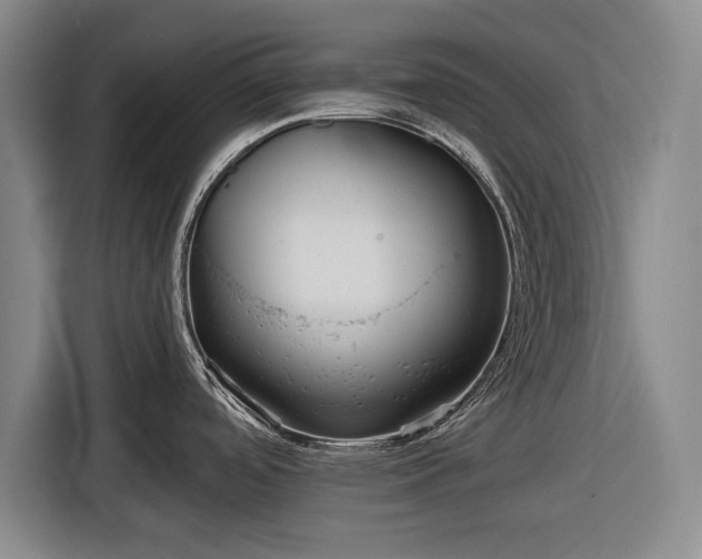 X0000116551488200912171339